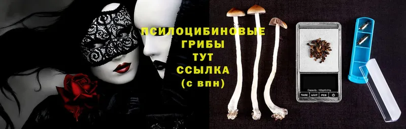 blacksprut ссылка  Ивантеевка  Псилоцибиновые грибы Magic Shrooms 